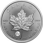 2026 1 oz Canada Silver 2026 1 oz Canadian Year of the Horse: Treasured Silver Maple Leaf BU