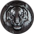 2025 1 oz Cook Islands Silver 2025 1 oz Cook Islands Tiger: Black and White Obsidian Black Silver Proof Coin PP
