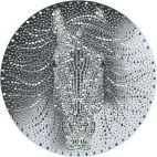 2026 1/2 oz Niue Silver Lunar Horse PL