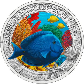 2024 Austria Copper-Nickel 2024 Austria Copper-Nickel Blue doctor fish PN PN