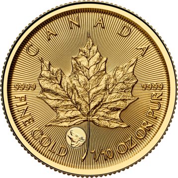 2026 1/10 oz Canada Gold 2026 1/10oz  Canada Gold Treasured Maple Leaf BU