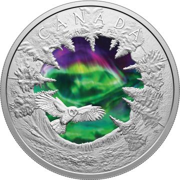 2025 62.68g Canada Silver 2025 2oz Canada Magic of the Northern Lights PP
