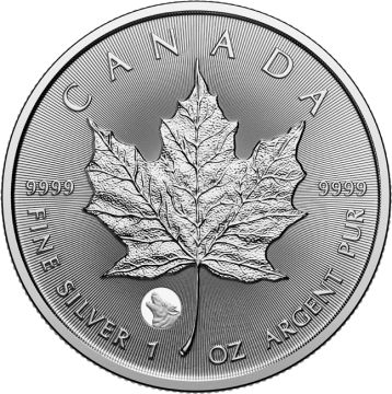2026 1 oz Canada Silver 2026 1oz Canada Silver Treasured Maple Leaf Coin BU
