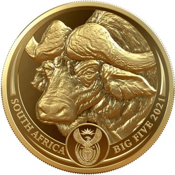 2021 1 oz South Africa Gold 2021 1oz South Africa  Big Five Buffalo PP