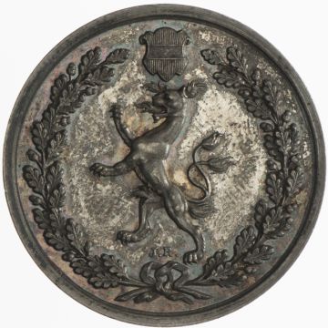 1863 Silver AR Prize Medal Steyr VZ, nearly stamp gloss, fine tint