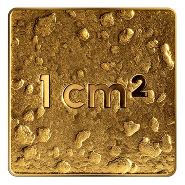 2025 1/25 oz Latvia Gold 2025 Gold Our Land Gold Coin PP PP