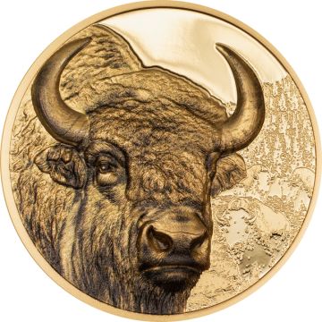 2025 1 oz Mongolia Gold 2025 1 oz Mongolia Gold Bison PP PP